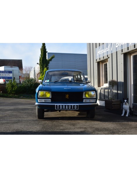 PEUGEOT 304 GL BREAK de  1976