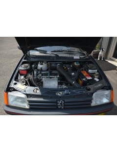 PEUGEOT 205 GTI 1,6L 115CH