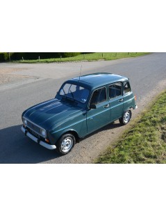 RENAULT 4L "CARTE JEUNE" DE 1991