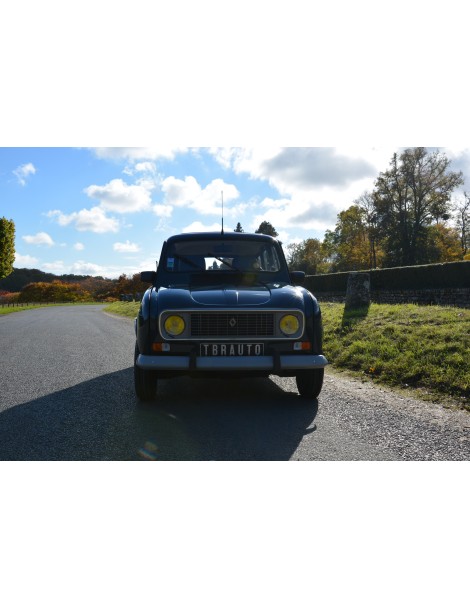 RENAULT 4L "CARTE JEUNE" DE 1991