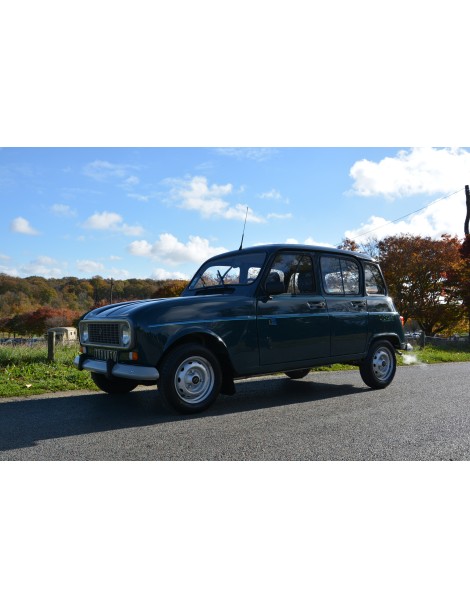 RENAULT 4L "CARTE JEUNE" DE 1991